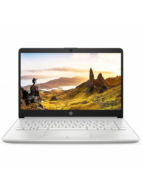 HP 14s 14-inch Laptop Core i3-1005G1/4GB/1TB HDD/Windows 10 Home/Intel UHD Graphics Natural Silver cf3006tu