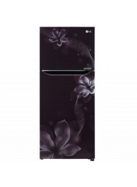 LG 260 L Frost Free Refrigerator 2Star