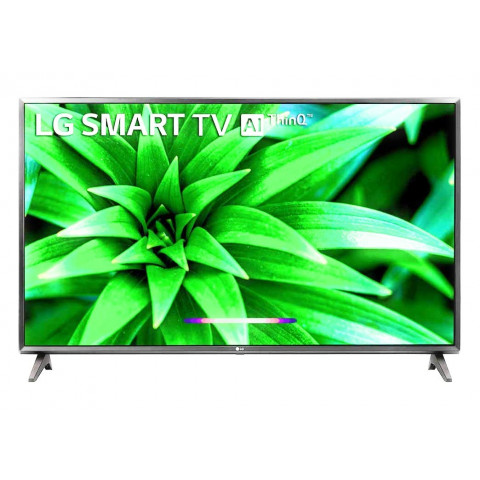 LG HDR LED TV - 24LH454A